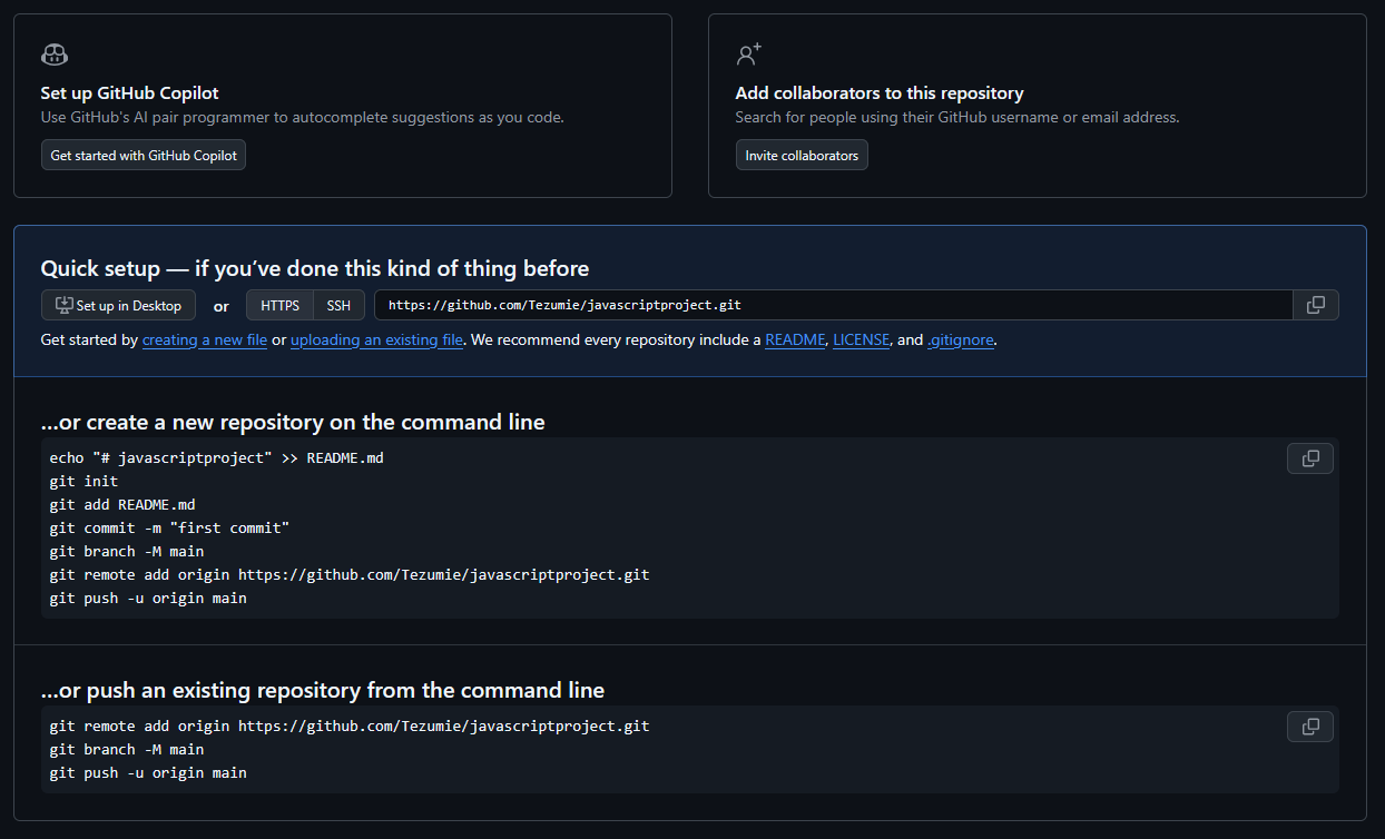 New GitHub repository view (empty before first push)
